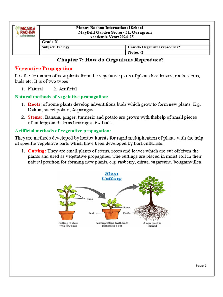 Biology Chapter 7 Notes-2 | PDF | Botany | Reproduction