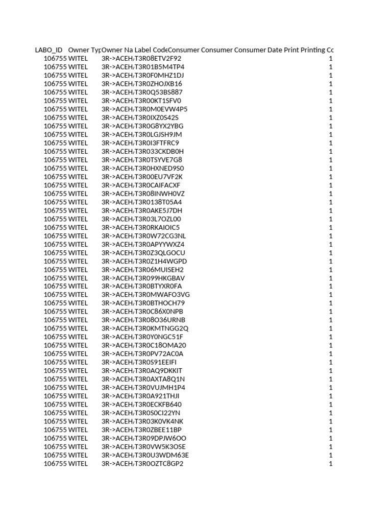 WITEL ACEH Consumer Print Data | PDF
