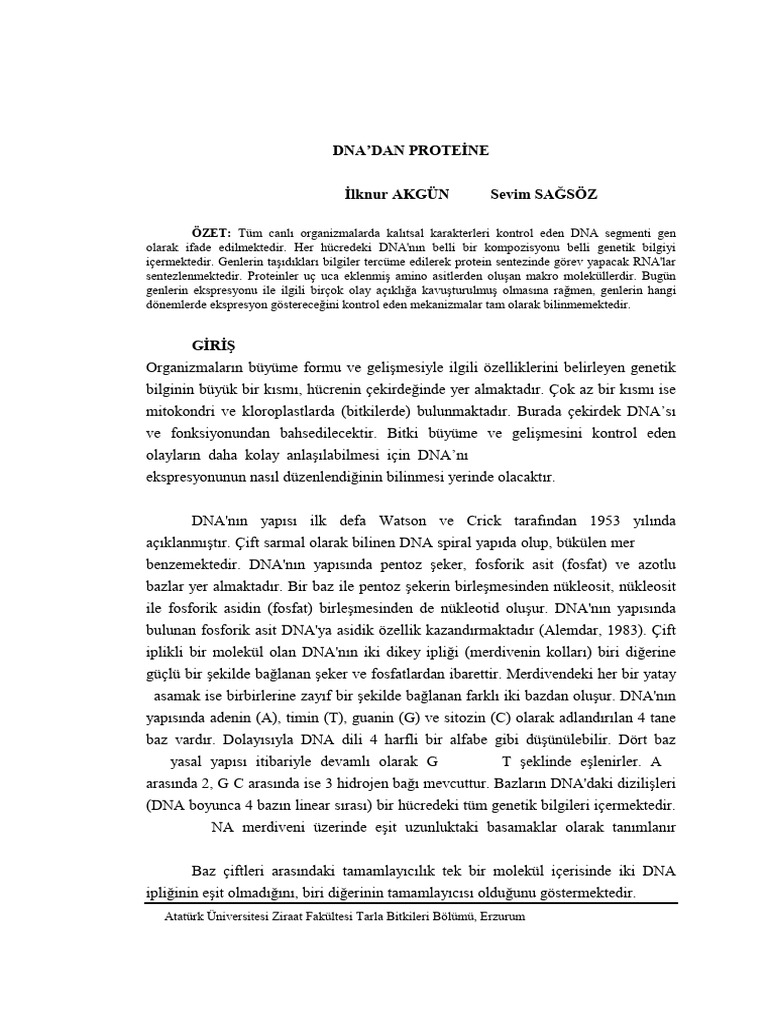 05 DNAdan Proteine | PDF