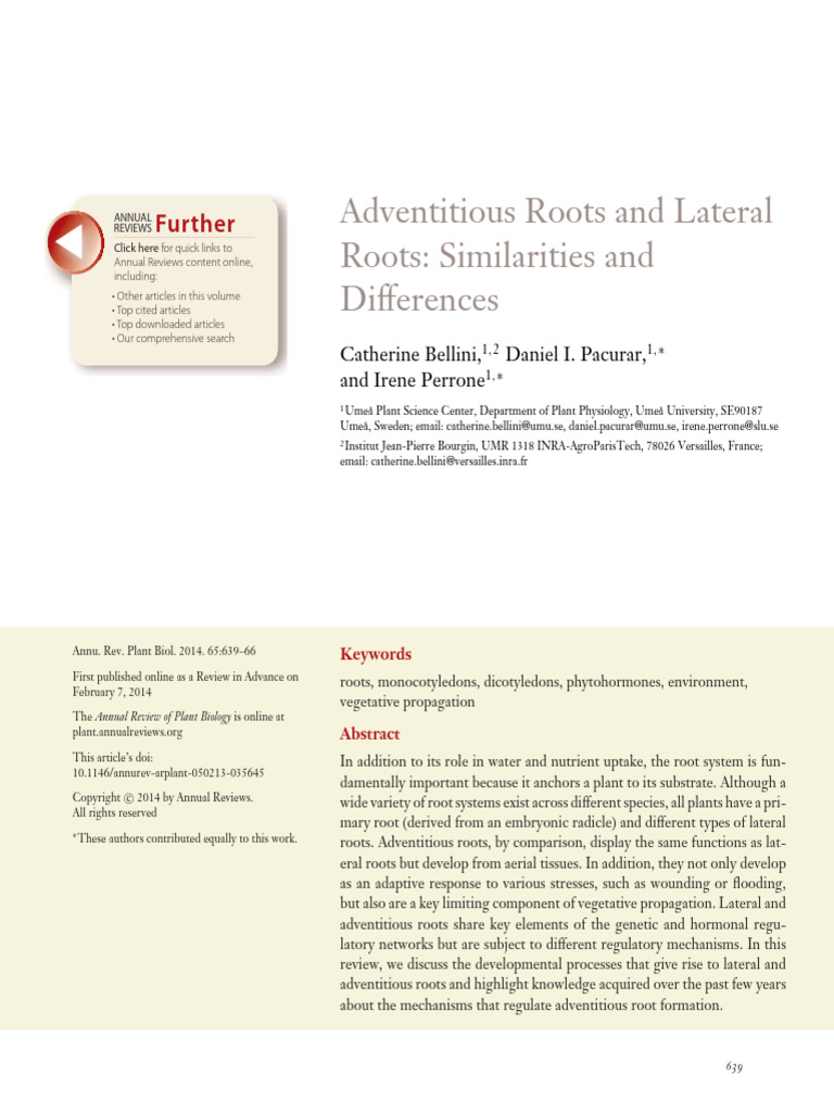 Adventitious vs. Lateral Roots Explained | PDF | Root | Plant Stem