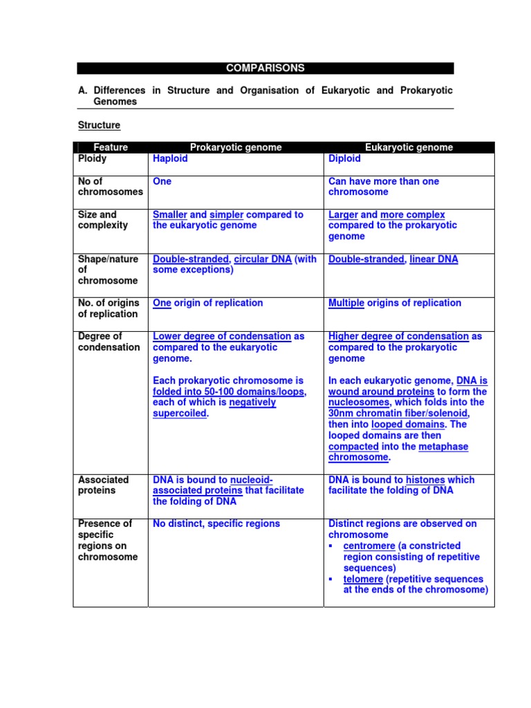 Eukaryotic vs Prokaryotic Genomes Explained | PDF | Regulation Of Gene ...