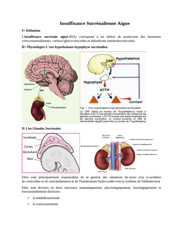 Insuffisance Surrénalienne Aigue PDF Glande surrénale Système — free download