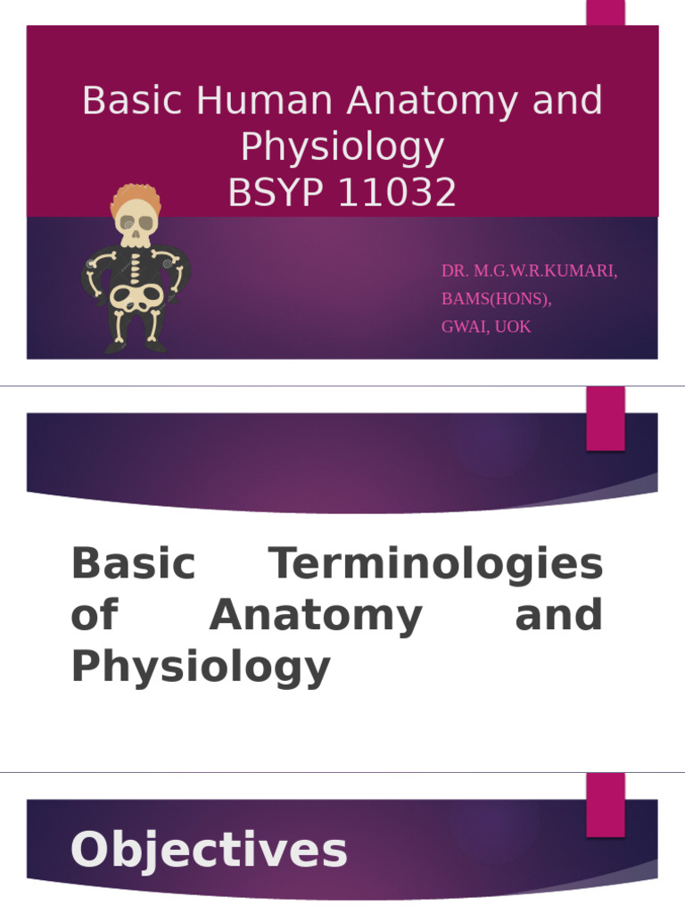 01.basic Human Anatomy and Physiology 3 | PDF | Anatomical Terms Of ...