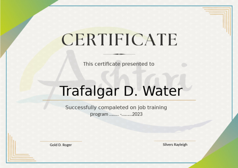 Professional Training Completion Certificate | PDF