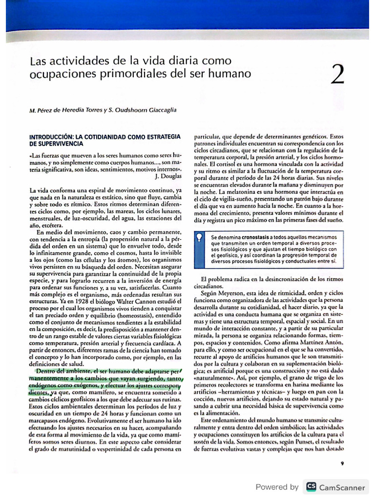 Las Actividades de La Vida Diaria | PDF