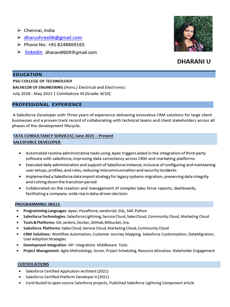 Salesforce Developer Profile Summary | PDF