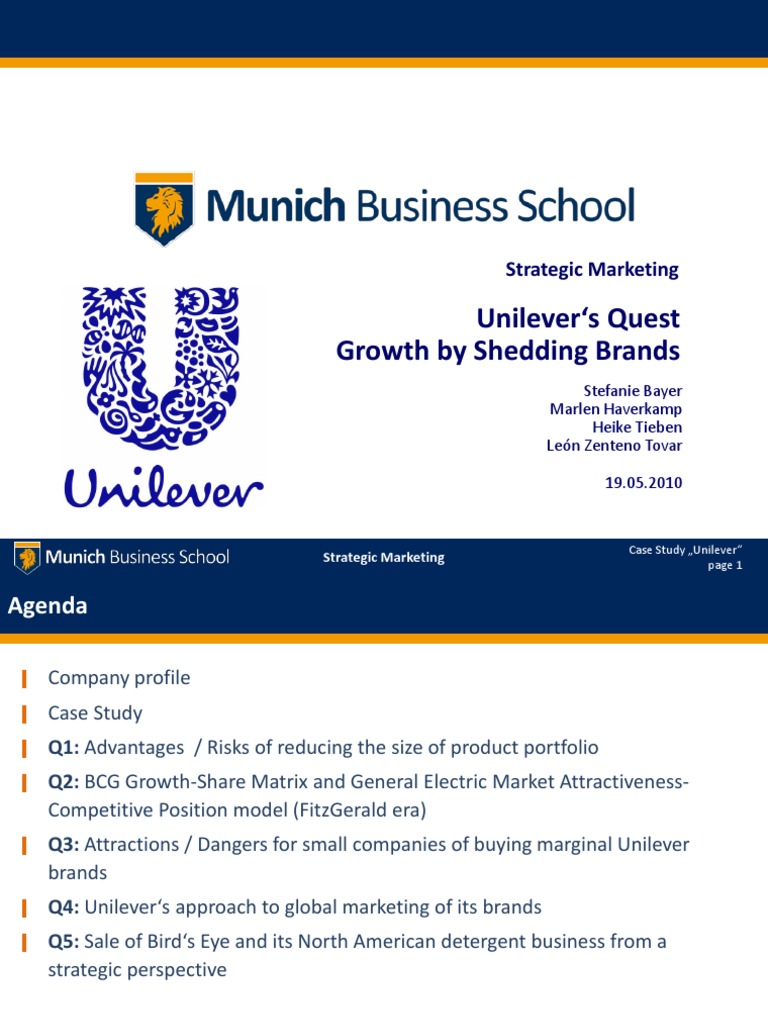 Behance case study template picture