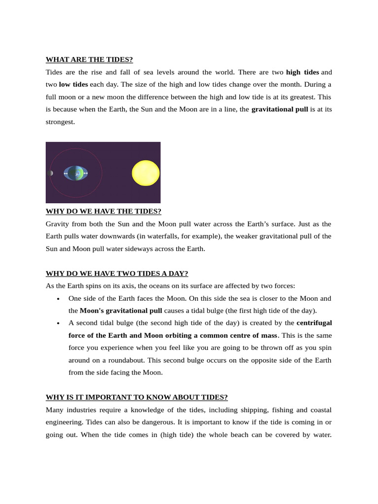 Understanding Tides: Causes and Importance | PDF
