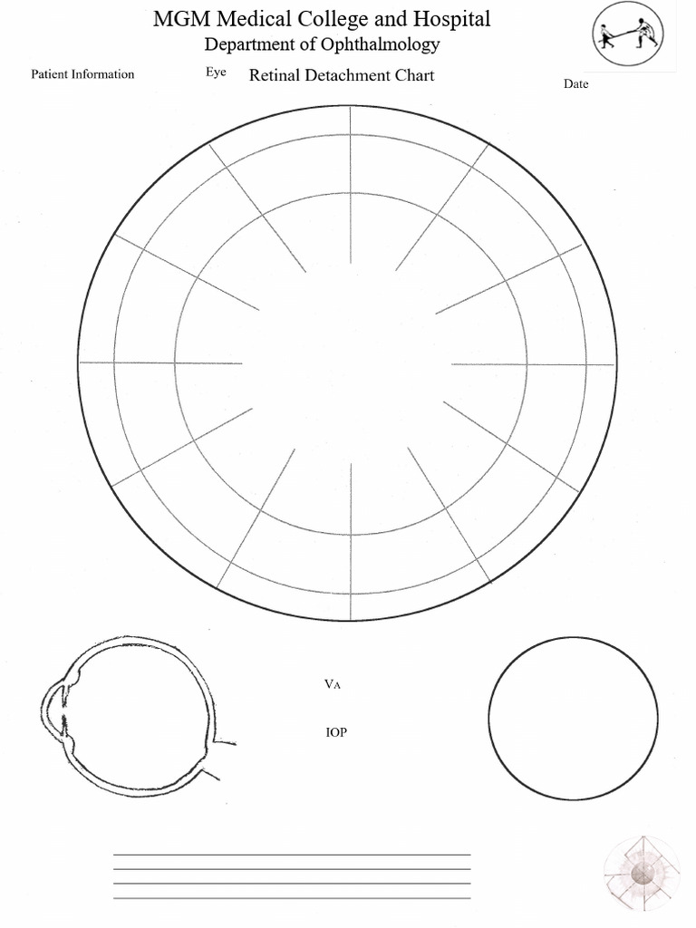 Amsler Chart FZ M-1 | PDF