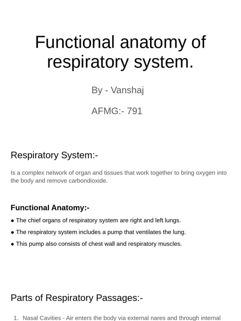 Functional anatomy of respiratory system. | PDF | Respiratory Tract | Lung