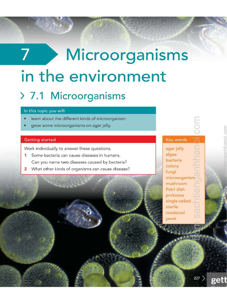 Science ch7 | PDF