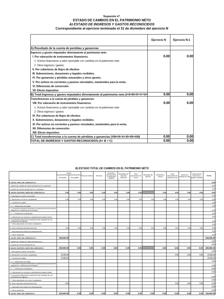 Plantilla ECPN - 1 - 1 | PDF | Valor neto | Dividendo