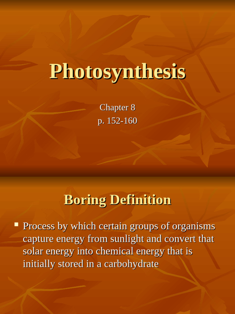 Understanding Photosynthesis Process | PDF | Photosynthesis | Chloroplast