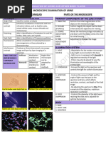 Urine Microscopic Examination Guide | PDF | Microscopy | Staining