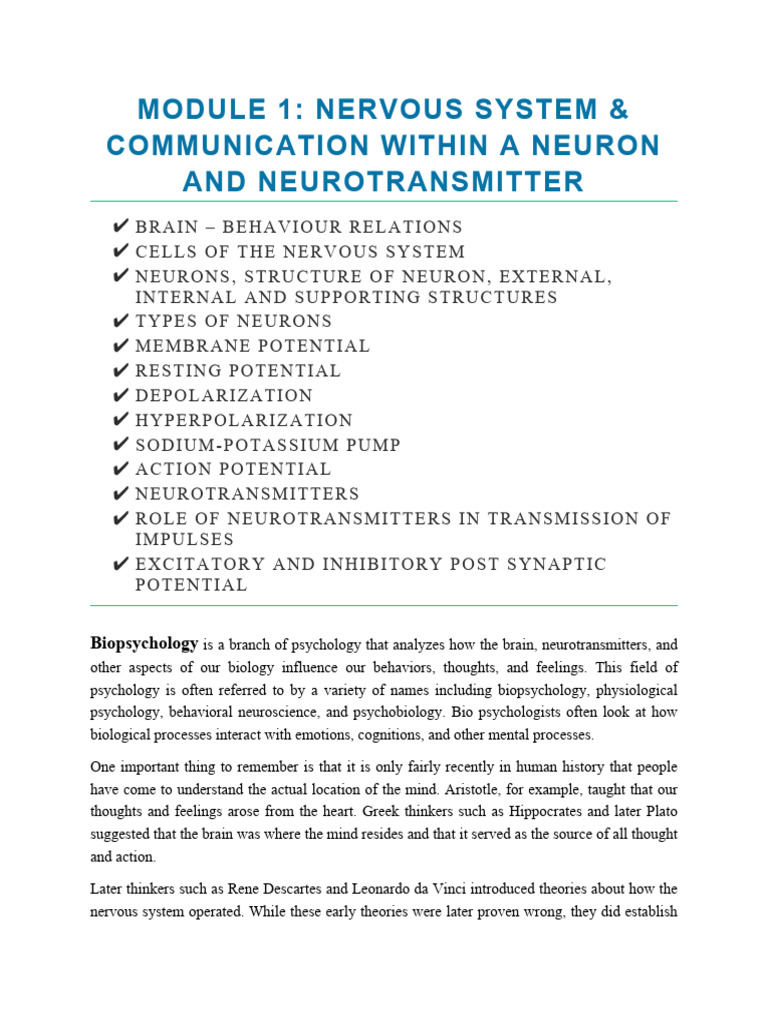 Action Potential Directionality Explained | PDF | Chemical Synapse ...