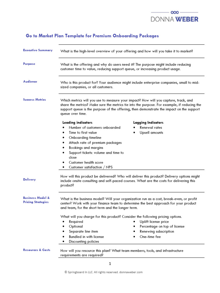 GotoMarketPlan Template | PDF | Pricing | Financial Economics