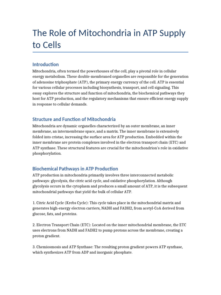 Mitochondria's Role in ATP Production | PDF | Mitochondrion | Adenosine ...