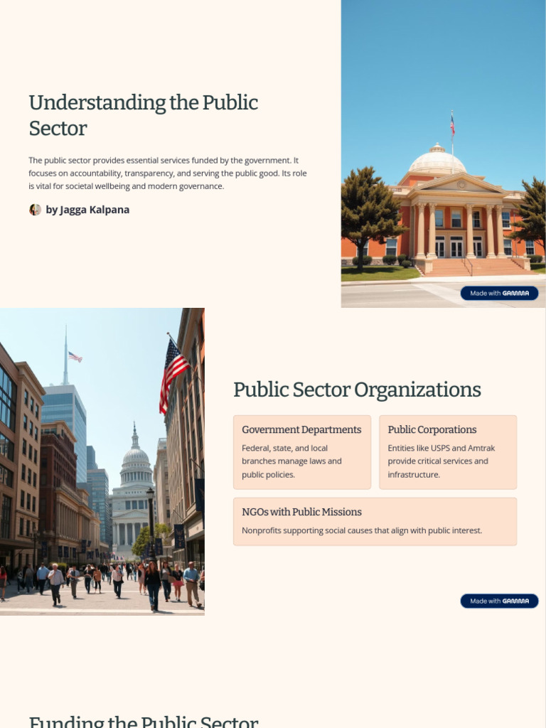 Understanding The Public Sector Pdf Governance Taxes