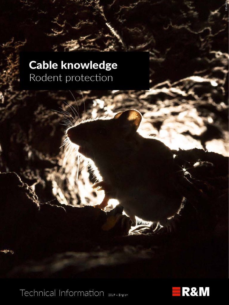 Rodent Protection for Cables | PDF | Rodent | Basement