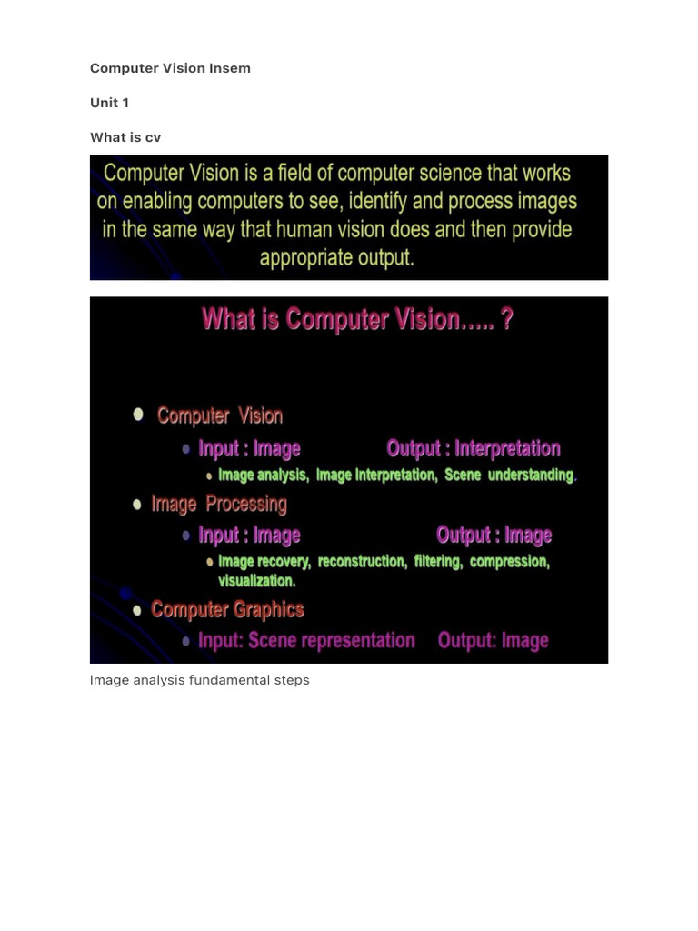 Computer Vision Insem | PDF