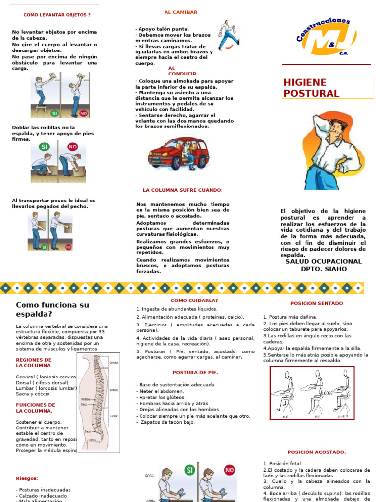 Cuidados para la Salud de la Columna | PDF | La columna vertebral