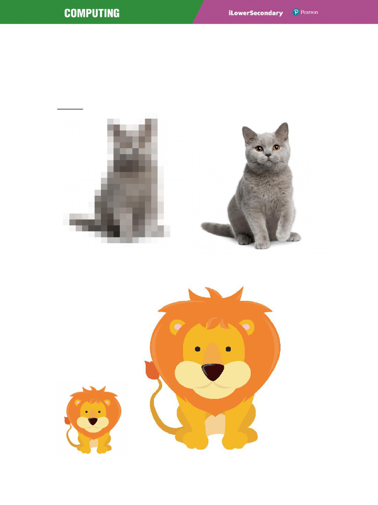 Bitmap vs Vector Graphics Explained | PDF