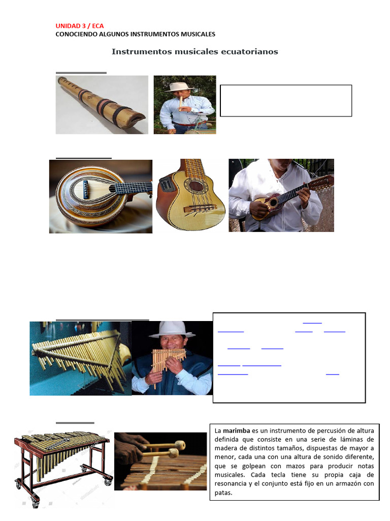Conociendo Inst Musicales Ecuatorianos 2 | PDF | Musicología ...