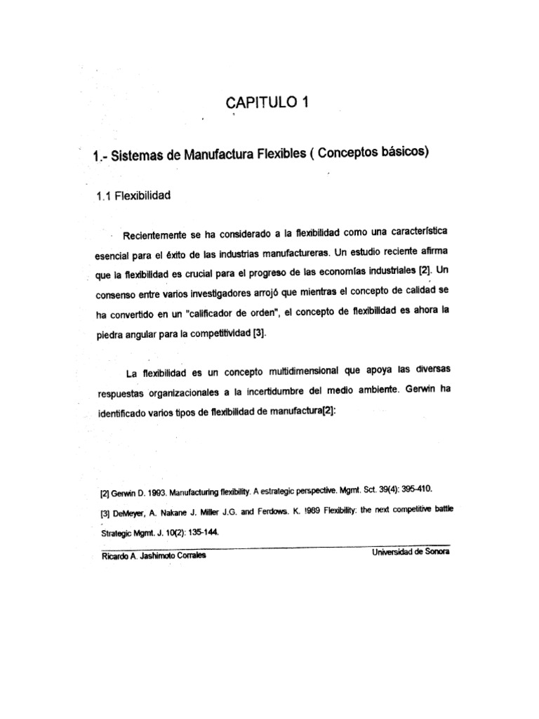 Capitulo 1 | PDF