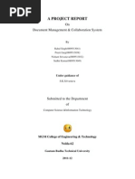 A Project Report: On Document Management & Collaboration System