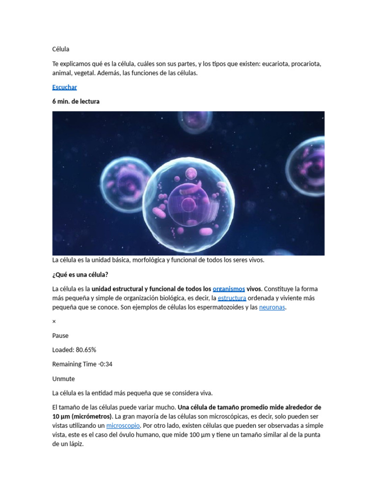 Tipos y funciones de las células | PDF | Biología Celular) | Citoplasma