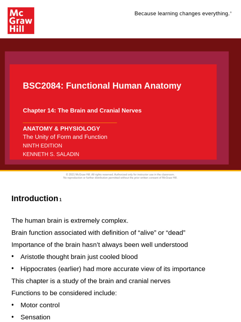 Brain Anatomy and Function Overview | PDF | Brainstem | Cerebrospinal Fluid