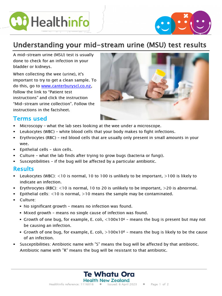 MSU Test Results Explained: Infection Guide | PDF | Infection | White ...