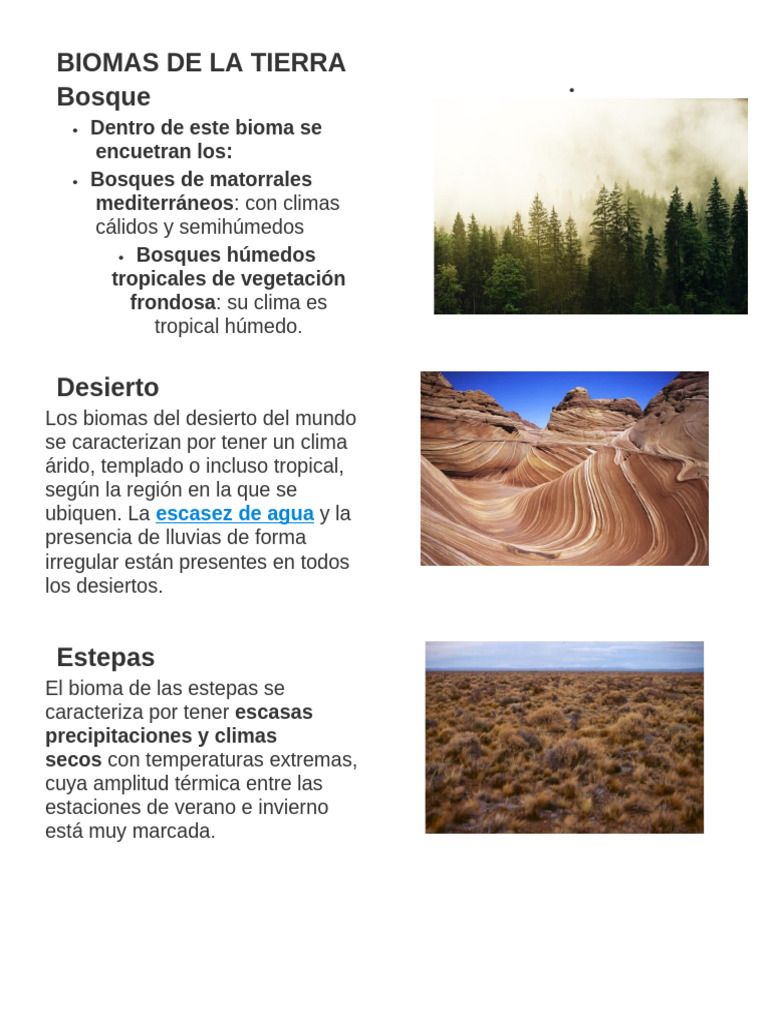 Biomas de La Tierra | PDF