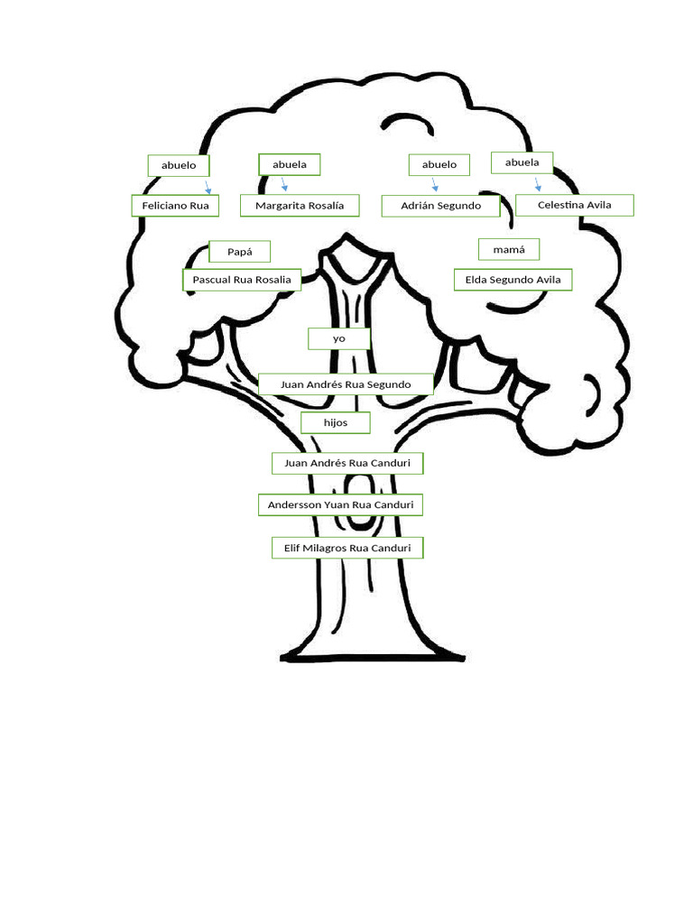 Arbol Genealogico | PDF