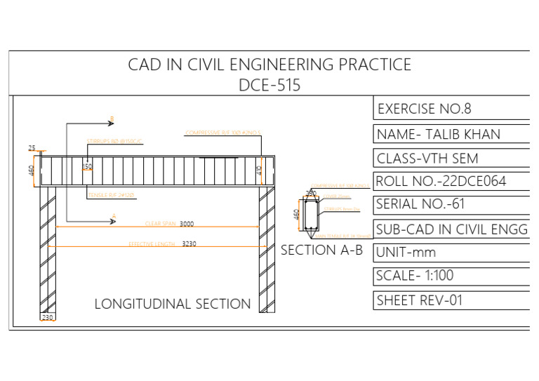 CAD Exercise: Civil Engineering Design | PDF