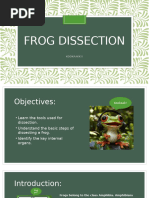Frog Dissection Guide for Students | PDF