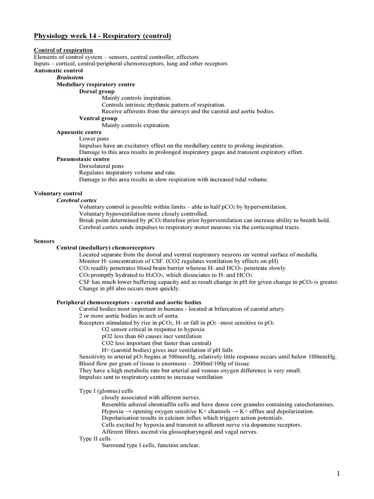 Control of Respiratory Physiology | PDF | Breathing | Respiratory System