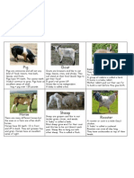 Farm Flashcards p2