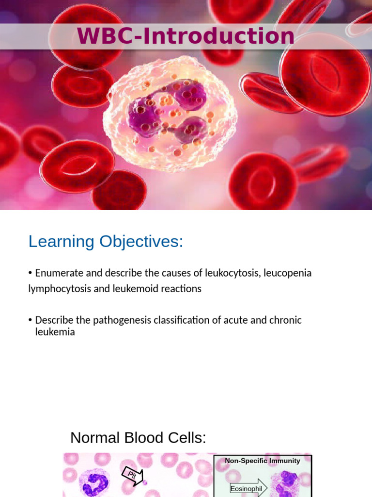 WBC Intro | PDF | White Blood Cell | Cells