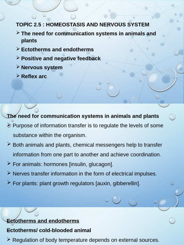 Topic 2.5 Homeostasis and Nervous (X) | PDF