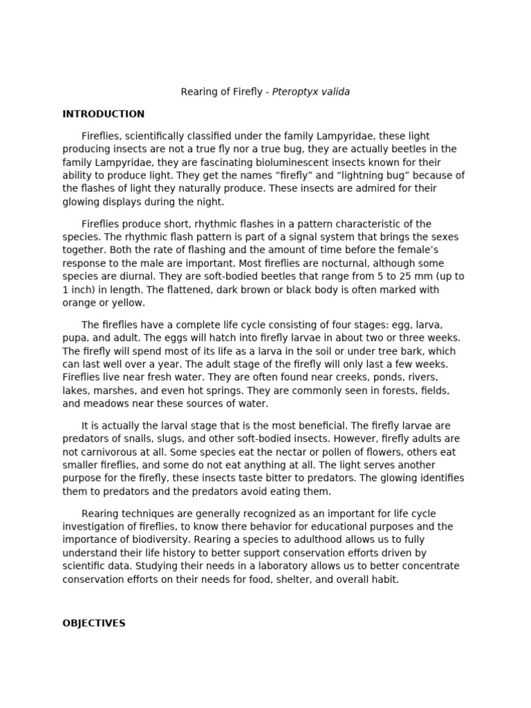 Insect Rearing of Ladybird beetle | PDF | Insects | Zoology