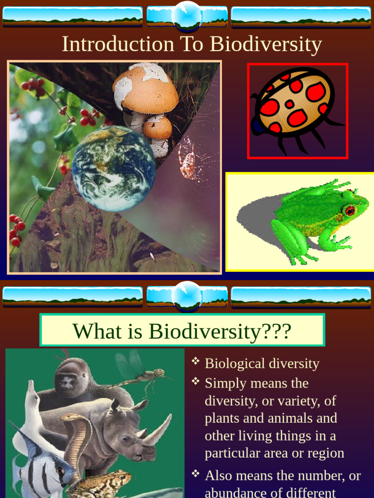 3.1 Biodiversity | PDF | Extinction | Habitat Destruction