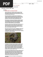 Download Rottnest Island - Its Endangered Bobtails by Dr Paul Weaver SN8560420 doc pdf