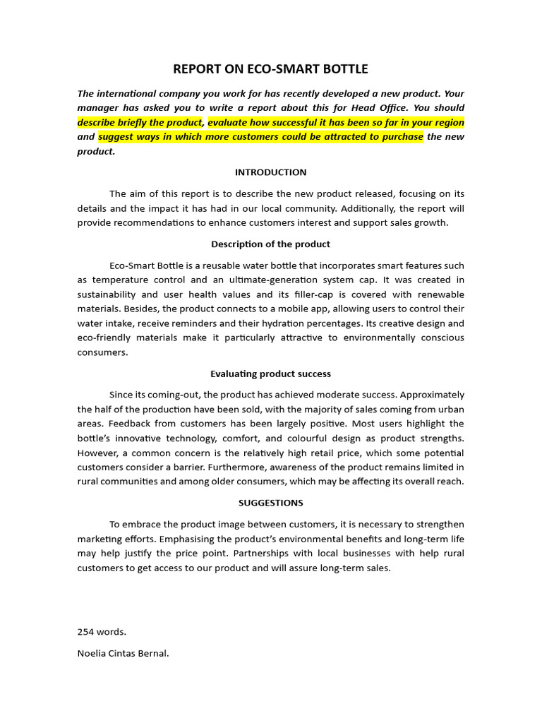 Report On The New Product | PDF
