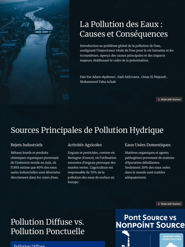 La Pollution Des Eaux Causes Et Consequences | PDF
