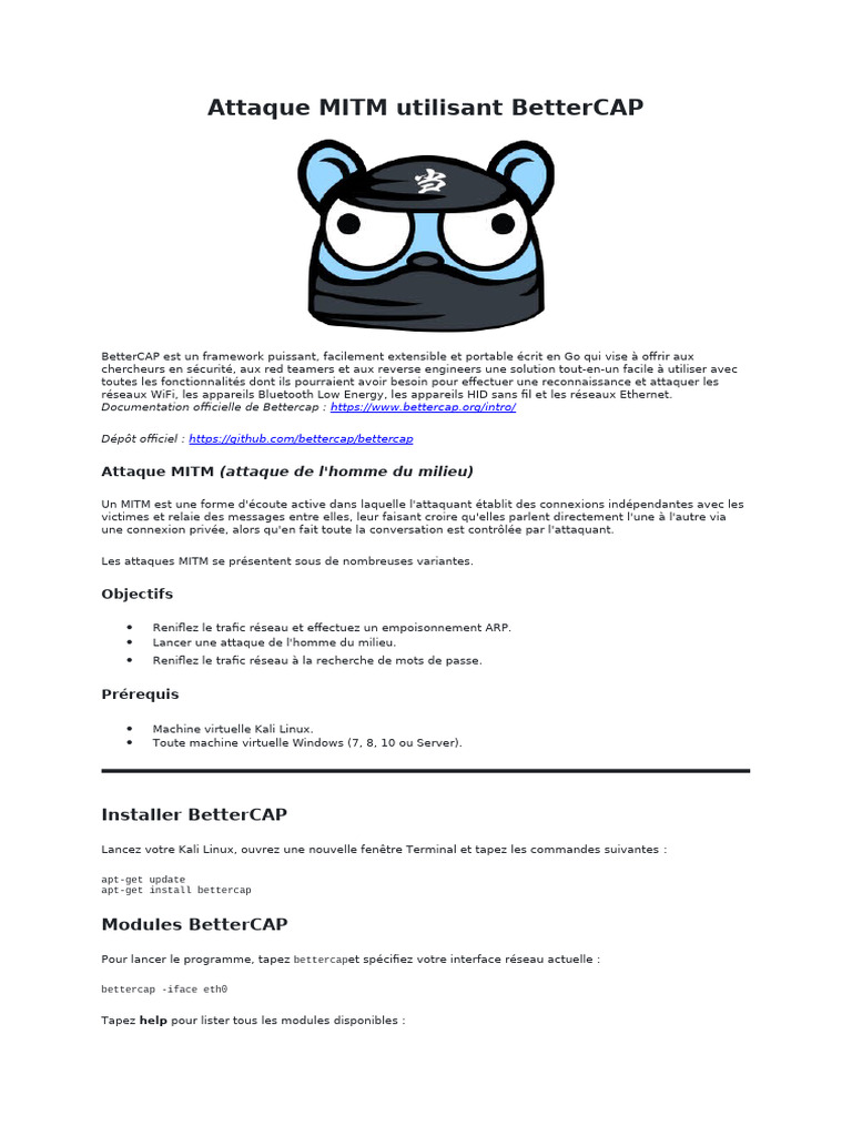 Attaque MITM avec BetterCAP sur Kali | PDF | Standards Internet ...