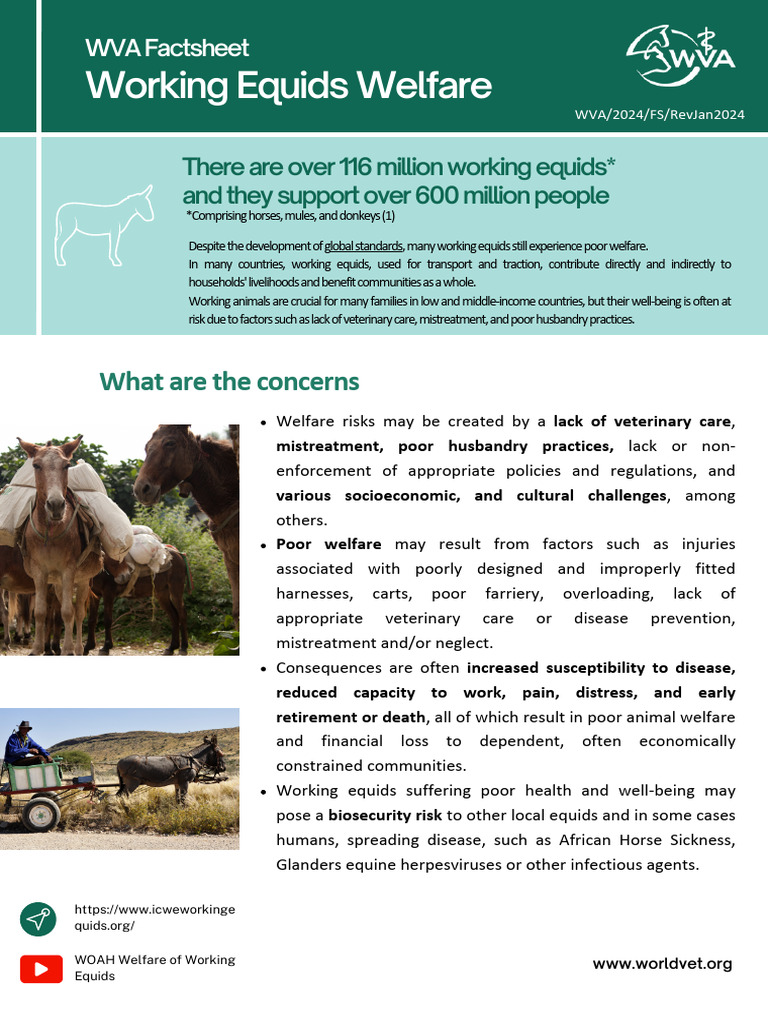 Fact Sheet Working Equids 2023 | PDF | Veterinary Medicine