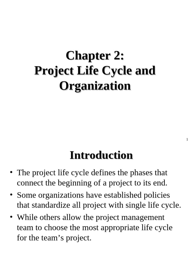 02 - Project Life Cyce and Organization | PDF | Project Management ...