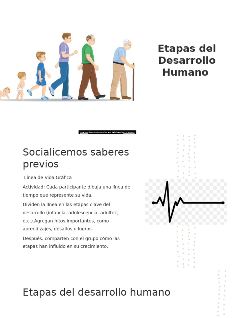 Etapas del Desarrollo Humano | PDF | Adolescencia | Adultos