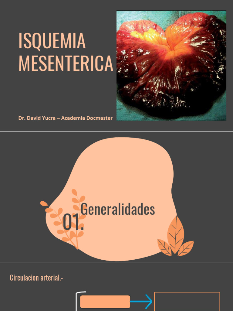 Isquemia Mesenterica | PDF | Isquemia | Embolia